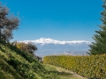 Agriturismo Casa Mia - la struttura
